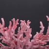 Cosiki Artificial Plant for Aquarium Decoration view 3