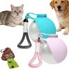 2-in-1 Travel Water Bottle for Dogs, Leakproof Stainless Steel Bottle with Silicone Bowl (2PC-H) view 1