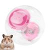 Generic Hamster Ball | Large Silent Transparent Ball view 1