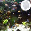 Angoily Hanging Plant Holder for Aquariums - 4 Pack view 4