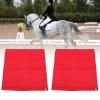 Haofy Horse Training Flag view 2
