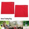 Haofy Horse Training Flag view 3
