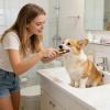 Pet Toothbrush for Cats and Small Dogs view 2
