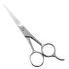 SILENRADAWN 12.5 cm Stainless Steel Beard Scissors view 1