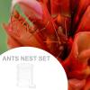 Acrylic Ant Food Container Water Dispenser for Ant Farms view 4