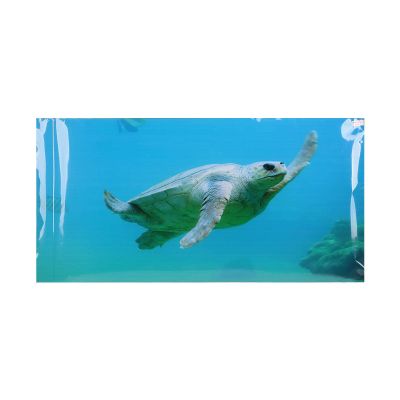Rjrjc Aquarium Wallpaper Sticker - Colorful Sea Turtle Design
