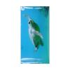 Rjrjc Aquarium Wallpaper Sticker - Colorful Sea Turtle Design view 3