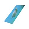 Rjrjc Aquarium Wallpaper Sticker - Colorful Sea Turtle Design view 4