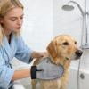 Grooming Gloves for Dogs view 2