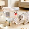 Automatic Water Fountain for Dogs and Cats with Smiley Face view 2