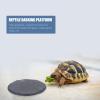 Stone Reptile Basking Platforms, 2-Pack, for Turtles and Lizards view 4