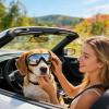 Dog Sunglasses with UV Protection, Dust- and Windproof view 3