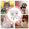 Automatic Cat Water Fountain and Drinking Bowl view 4
