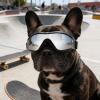 Dog Sunglasses, Dustproof and Windproof Protective Goggles view 2