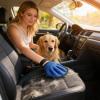 Qooplu Pet Hair Removal Glove view 2