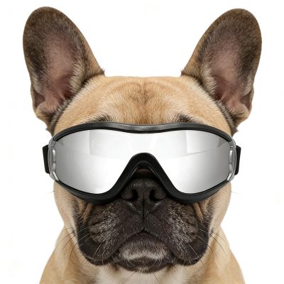 Dog Sunglasses - UV Protection, Sturdy, Windproof