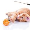 ibasenice 3-Piece Interactive Cat Toy view 4