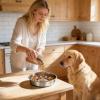 gifyym Slow Feeder Bowl, Stainless Steel Dog Food Dish view 3