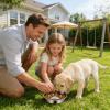 gifyym Slow Feeder Bowl, Stainless Steel Dog Food Dish view 4