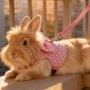 Escape-Proof Rabbit Harness, Adjustable Breathable Vest view 2