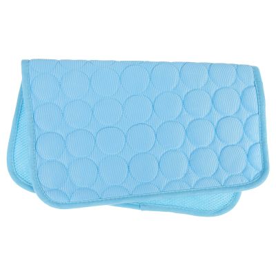 VALICLUD Lightweight Foldable Cooling Mat for Pets