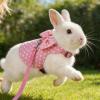 Escape-Proof Rabbit Harness view 3
