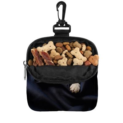 Portable Dog Treat Bag for Training