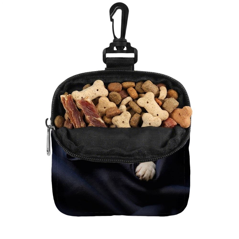 Portable Dog Treat Bag for Training