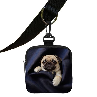 Dog Treat Pouch for Training and Puppy Snacks