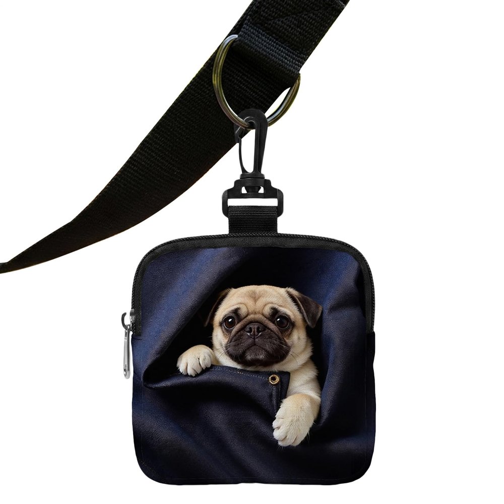 Dog Treat Pouch for Training and Puppy Snacks