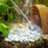 LEIMEND 6-Piece Aquarium Air Stone Set view 4