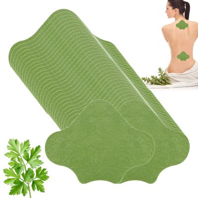 120 Back Heat Patches with Natural Herbal Ingredients
