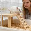 Jubepk Hamster Toy view 3