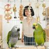 Interactive Wooden Chew Toys for Birds view 4