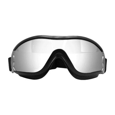 Windproof, Anti-Fog Dog Goggles for Eye Protection