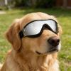 Windproof, Anti-Fog Dog Goggles for Eye Protection view 3