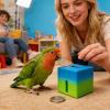 Interactive Lovebird Puzzle Toy view 2