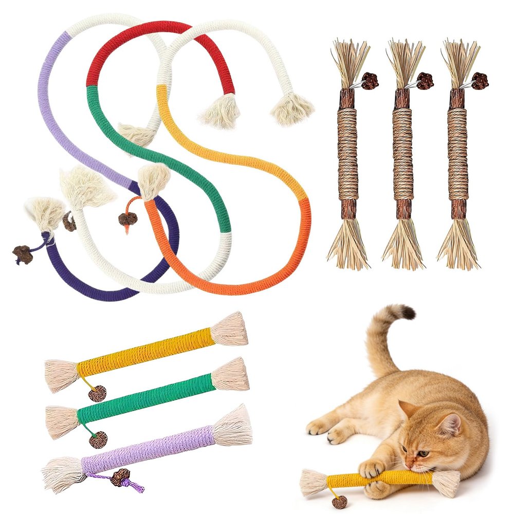 Nocecfi Cat Toy Set, 9 Pieces with Catnip