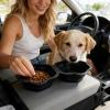 Collapsible Silicone Dog Bowl with Paw Design view 3
