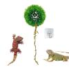 Moss Ball-Shaped Reptile Terrarium Shelter view 1