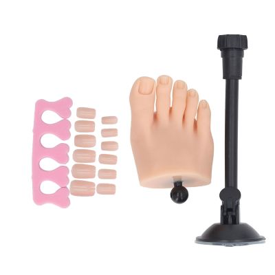Realistic Silicone Nail Practice Foot with Stand, Right Foot