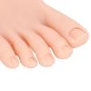 Realistic Silicone Nail Practice Foot with Stand, Right Foot view 4