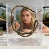 Generic Reptile Climbing Decoration view 2