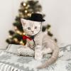 VALICLUD Funny Pet Headwear Set with Black Hat and Red Bowtie view 4