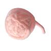 FILFEEL Interactive Cat Yarn Toy with Bell-Equipped Wool Yarn Balls for Cats, Kittens, Puppies, Fun and Biting (PINK) view 3