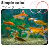 STOBAZA 6-Pack Floating Fish Feeding Rings view 3