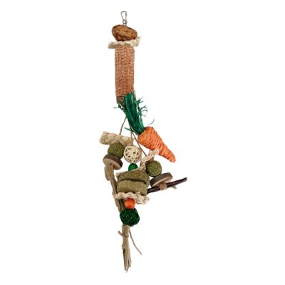 Hardy – Durable Bunny Molar for Gnawing