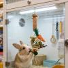 Hardy – Durable Bunny Molar for Gnawing view 4