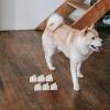 MUCKLILY 6-Pack Transparent Wall Holders for Dog PIPI Pads view 4
