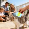 Stainless Steel Cat Comb, Multifunctional Grooming Brush view 2